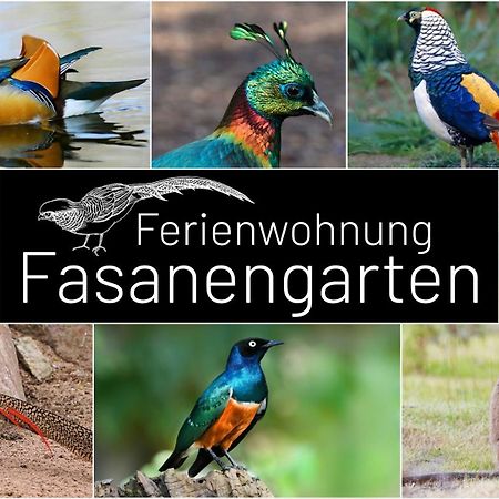 Fasanengarten In Траунройт Экстерьер фото